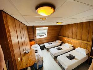 阿姆斯特丹沙姆沙伊赫酒店的小房间,船上有三张床
