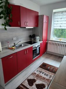 格赖夫斯瓦尔德FeWo s Runde Wiese WR的厨房配有红色橱柜、水槽和窗户