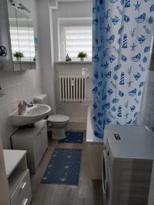 格赖夫斯瓦尔德FeWo s Runde Wiese WR的浴室配有水槽、卫生间和浴帘