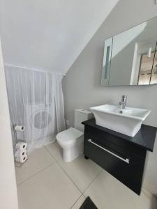 伊丽莎白港Downstairs @38的一间带水槽、卫生间和镜子的浴室
