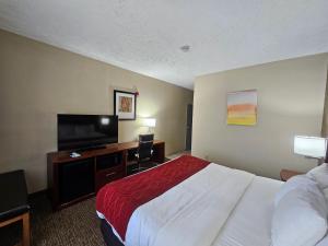 杰克逊Comfort Inn Jackson I-40的配有一张床和一台平面电视的酒店客房