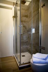 阿格里真托Fiore dei Templi - luxury suite experience的浴室设有玻璃淋浴间和卫生间