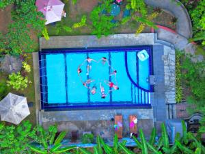 哈伯勒内Levona Garden Resort的游泳池的顶部景色,游泳池设有潜水员