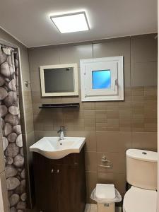 尼亚米卡尼奥纳mini studio的一间带水槽和卫生间的浴室以及一台电视。