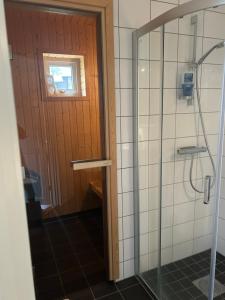 萨伦Joängets Fjällgård 18a的浴室里设有玻璃门淋浴