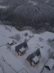 佩什泰拉Amont Chalet的空中景色,有积雪覆盖的院子,有建筑