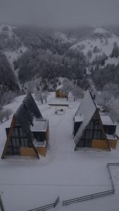 佩什泰拉Amont Chalet的一群屋顶下积雪的建筑