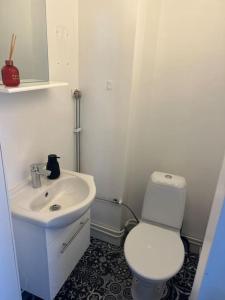 UllangerStudiolägenhet i Höga Kusten的浴室配有白色卫生间和盥洗盆。
