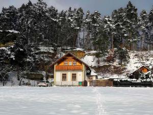 BranžežChalupa Branžež Komárovský rybník的雪中的房子,有雪覆盖的院子