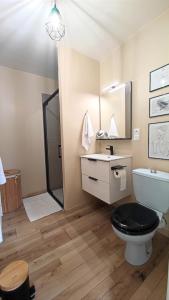 萨利耶德贝阿尔恩Les Treilles de Salies - Studio au calme的浴室配有卫生间、盥洗盆和淋浴。