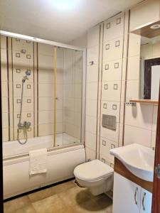 伊斯坦布尔Hotel Nayla的带淋浴、卫生间和盥洗盆的浴室