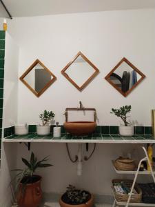丹吉尔Dar Gara的浴室设有植物和镜子架