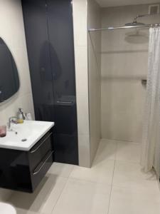 奈达Centrinė aikštė的浴室配有白色水槽和淋浴。