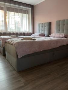 奈达Centrinė aikštė的一间卧室配有一张大床和床头板