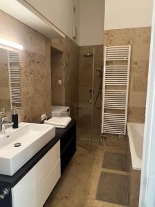塞克希费黑瓦尔Tamás Apartman的一间带水槽和淋浴的浴室