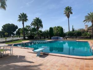莫莱拉Mariposa的一座棕榈树环绕的游泳池