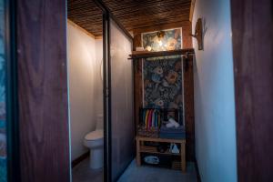 圣胡安La Botanica Hotel的一间带卫生间和镜子的小浴室