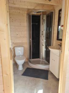 库雷萨雷Jootme-Andruse Puhkemaja的带淋浴、卫生间和盥洗盆的浴室