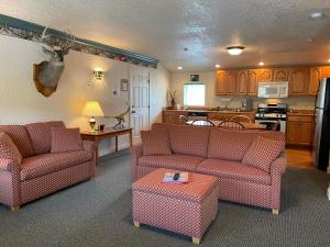 莱文沃思Beaver Valley Lodge的一间带两张沙发的客厅和一间厨房