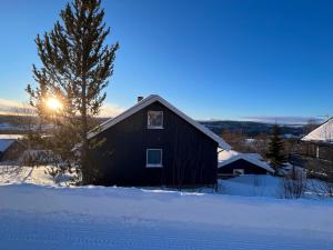 冬天的House in Røros