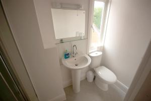 埃文河畔斯特拉特福火蜥蜴旅馆的白色的浴室设有卫生间和水槽。