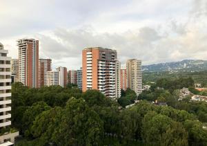 危地马拉Unique Studio Apartment in the heart of Guatemala City的享有城市高楼和树木的景致