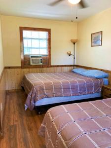 TrinityOutback Campground and Marina的一间卧室设有两张床和窗户。