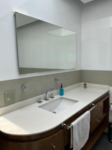 墨西哥城Casa helenico的一间带水槽和大镜子的浴室
