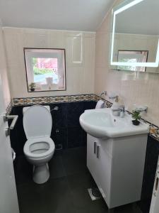 尼克希奇JS APARTMAN的浴室配有白色卫生间和盥洗盆。