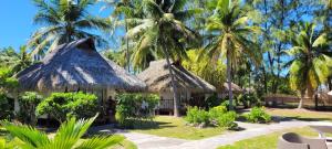 阿瓦托鲁Raira Lagon的拥有2间小屋和棕榈树的度假村