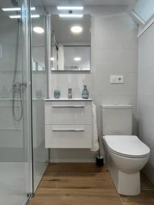 巴约讷MiniLoft Baiona -的白色的浴室设有卫生间和淋浴。
