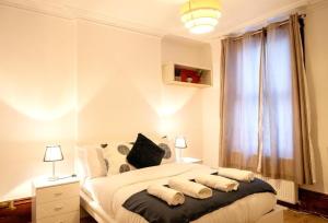 伦敦Spacious 2 Bedroom Flat的卧室配有带枕头的床铺和窗户。