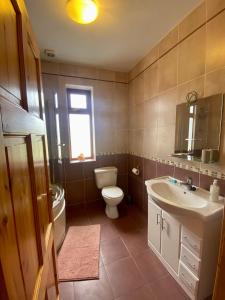 BungowlaIrish Isle Oasis: Spacious 5-Bedroom Retreat的一间带水槽和卫生间的浴室以及窗户。