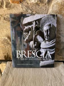 布雷西亚Casa Roveglia的艺术和历史博物馆的书籍