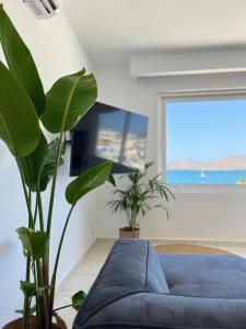 伊罗达Elounda Port Apartment的客厅配有蓝色沙发和植物
