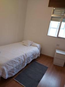 Casa Ricardo (16km de Coruña)的一间卧室设有床、窗户和地毯。