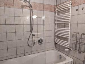 IngenriedHerzstuecke-Ferienwohnung的带淋浴和浴缸的浴室