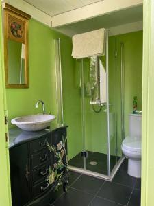 海法Villa Marina的绿色浴室设有水槽和卫生间