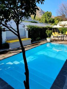 弗朗斯胡克Fleur du Soleil Luxury Guesthouse的前方的蓝色游泳池,有树