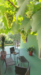 丘利利亚Refugio La Presa的庭院里设有桌椅和一串葡萄