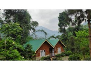 佩林Cherry Village Resort, Pelling, Sikkim的树林中带绿色屋顶的房子