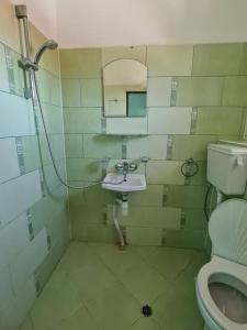 克拉佩茨House Varna-3的一间带水槽和卫生间的浴室
