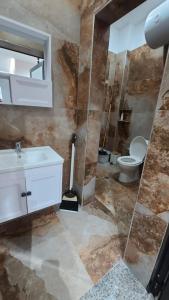 都拉斯Guest House Tian的一间带水槽和卫生间的浴室