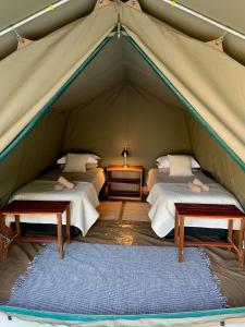 DivunduKuvira River Camp的帐篷内有两张床,配有蓝色地毯
