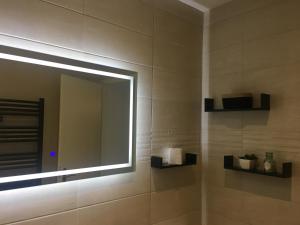 图卢兹Duplex - Palais de Justice的一间带大镜子和盥洗盆的浴室