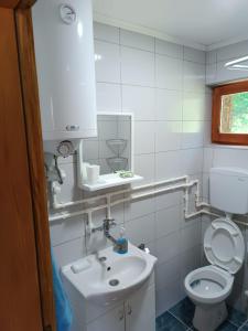 巴伊纳巴什塔Vila Mitrović的白色的浴室设有水槽和卫生间。