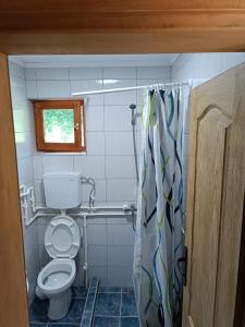 巴伊纳巴什塔Vila Mitrović的一间带卫生间和淋浴帘的浴室
