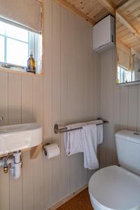 巴拉特Enchanting Tiny House with wood burner and hot tub in Cairngorms的浴室配有白色卫生间和盥洗盆。