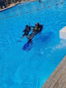 沙姆沙伊赫Aida Hotel Sharm El Sheikh的两人在游泳池里