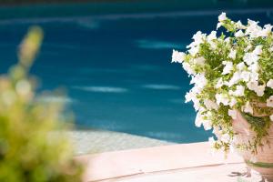 尼姆普利伽罗弗里酒店的花瓶,花瓶上满是白色的花朵,坐在桌子上